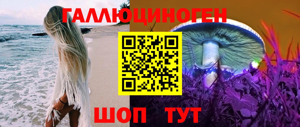 Ипатово  Псилоцибиновые грибы прущие грибы  Вход с VPN 